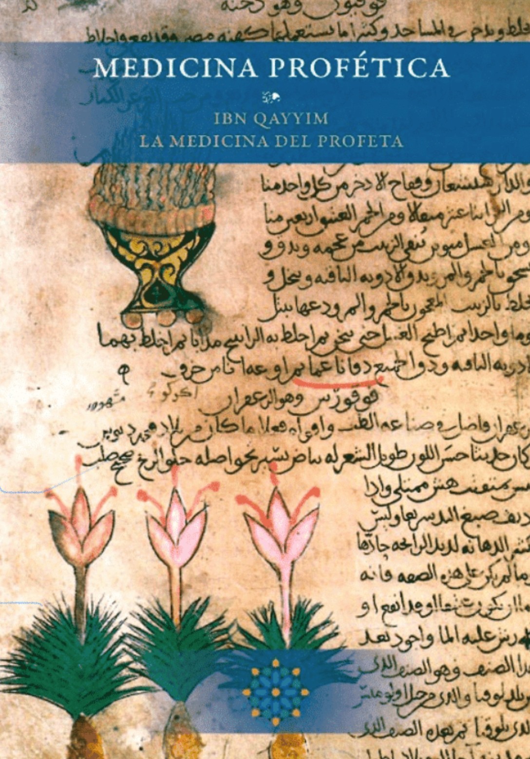 Medicina profética